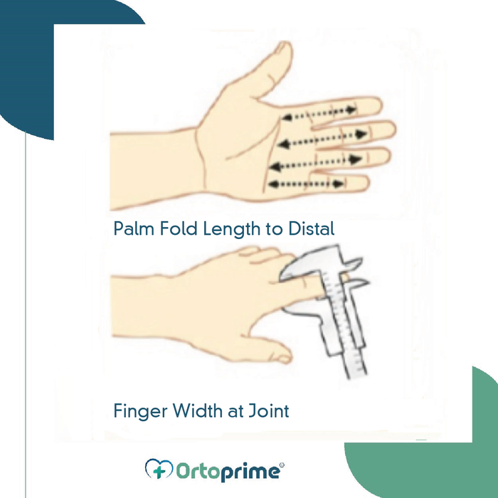 Attelle extenseur de doigt BORT | Par tailles
