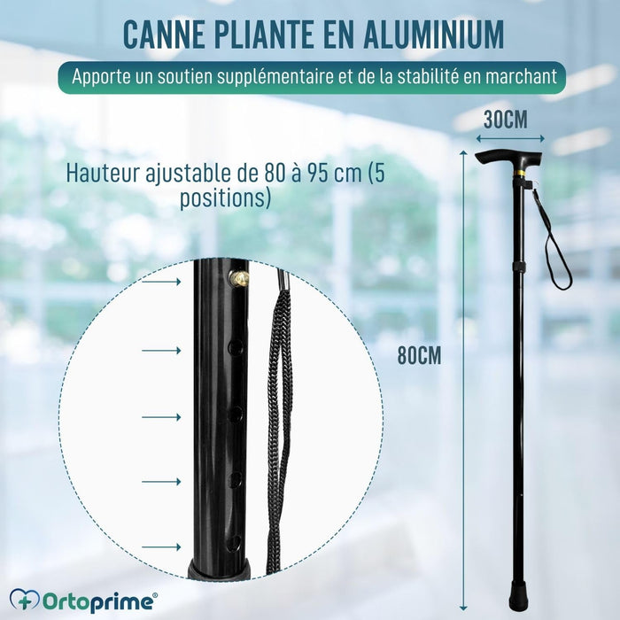 Bâton de Marche Extensible et Réglable en Hauteur | Noir