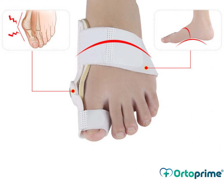 Correcteur d'oignons | Taille Universelle