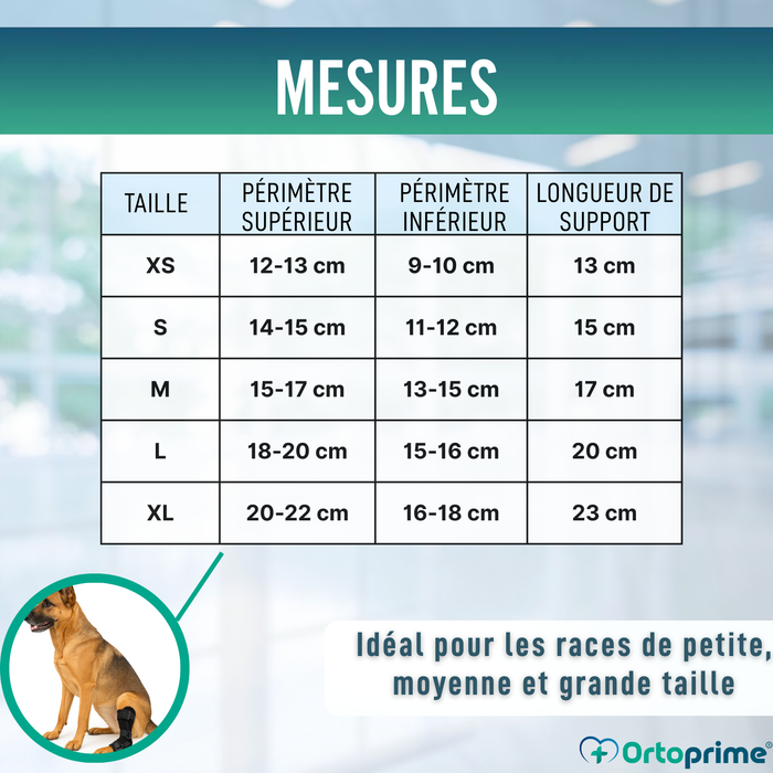 Support Tarse Canin avec Attelles Amovibles | Lot de 2