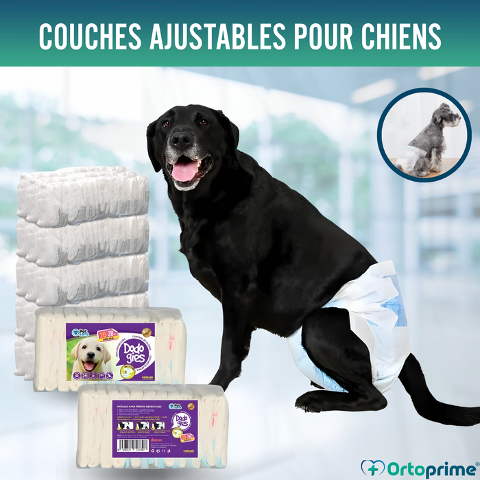 Couches Canines pour Femelles et Chiots | Haute Absorption