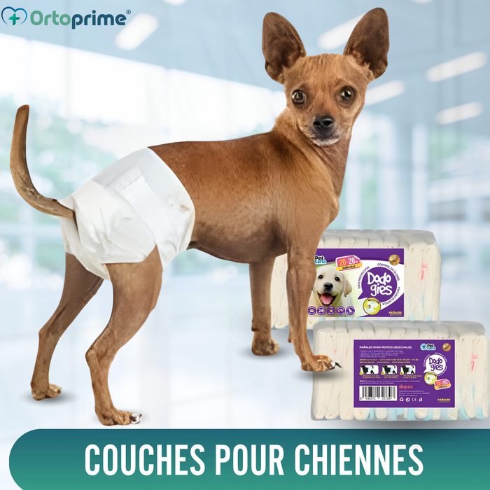 Couches Canines pour Femelles et Chiots | Haute Absorption