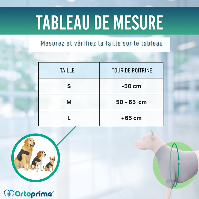 Ceinture Thermique Canine Back on Track | Support pour dos