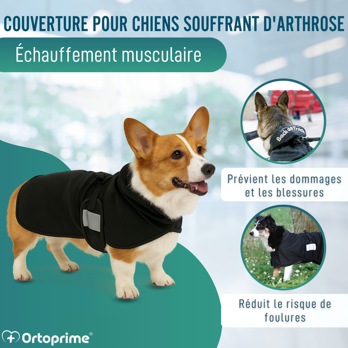 Couverture Canine Thérapeutique Back on Track | 21 Tailles