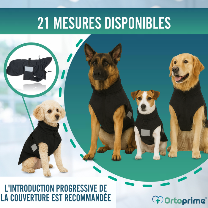 Couverture Canine Thérapeutique Back on Track | 21 Tailles