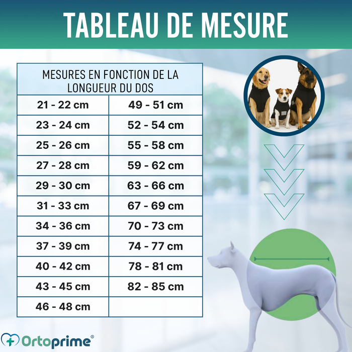 Couverture Canine Thérapeutique Back on Track | 21 Tailles