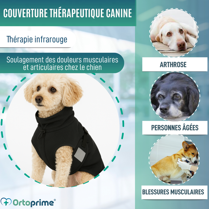 Couverture Canine Thérapeutique Back on Track | 21 Tailles