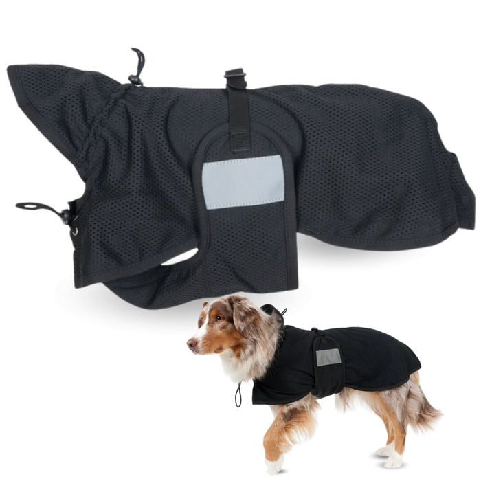Couverture Canine Thérapeutique Back on Track | 21 Tailles