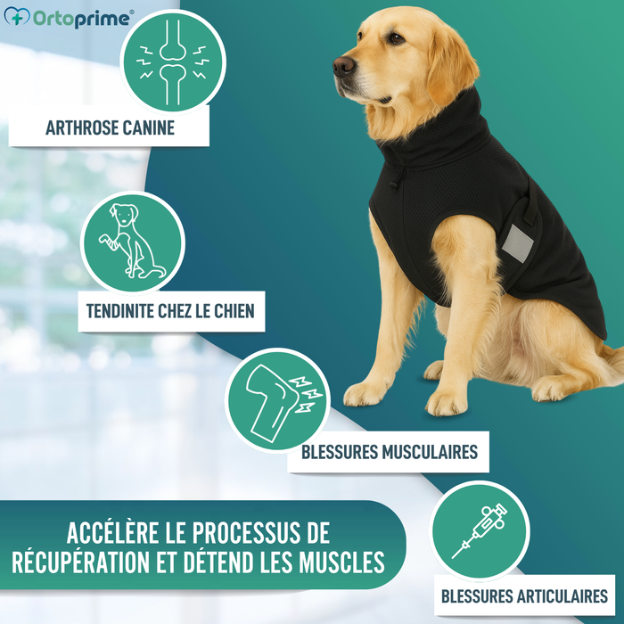Couverture Canine Thérapeutique Back on Track | 21 Tailles