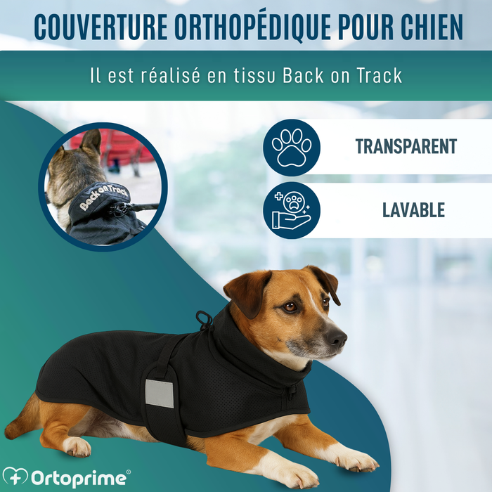 Couverture Canine Thérapeutique Back on Track | 21 Tailles