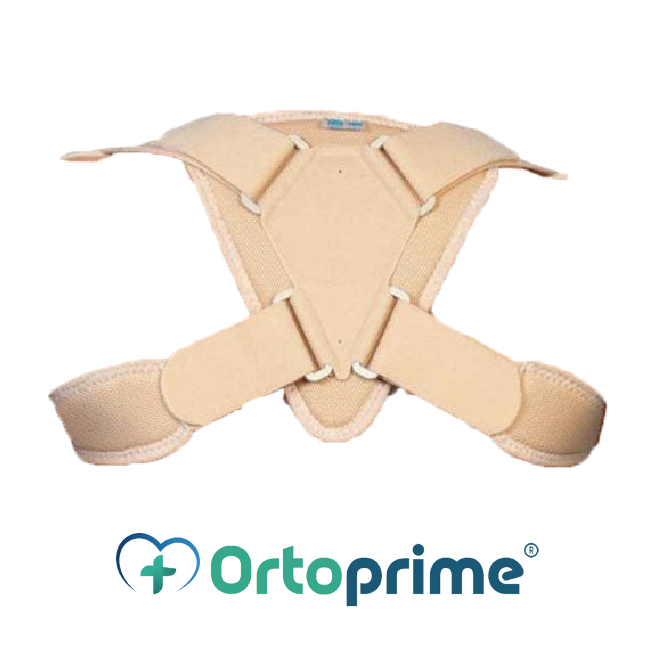 Attelle de Clavicule pour Adultes