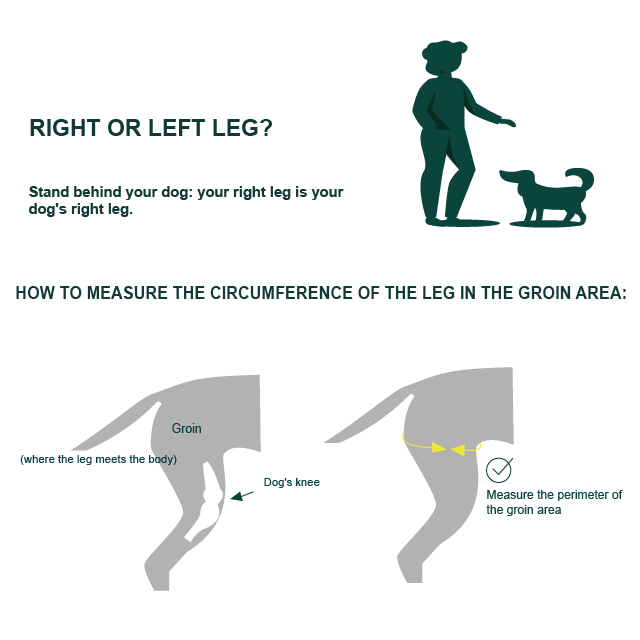 Genouillère pour Chiens avec Bande et Velcro Réglable | Par Tailles