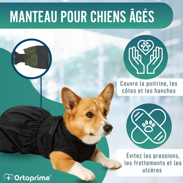 Manteau en Nylon pour Chiens à Mobilité Réduite | 6 Tailles