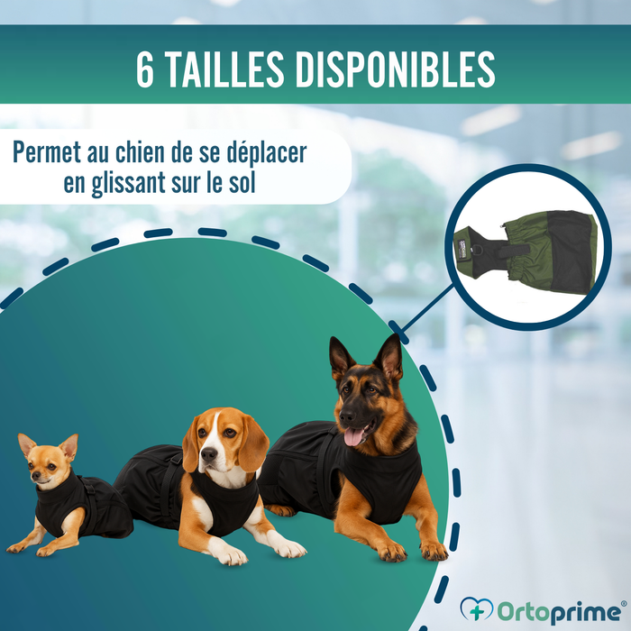 Manteau en Nylon pour Chiens à Mobilité Réduite | 6 Tailles