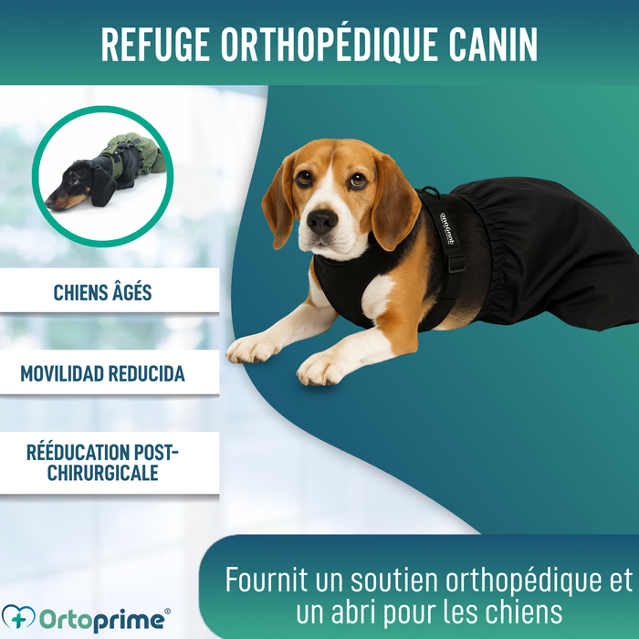 Manteau en Nylon pour Chiens à Mobilité Réduite | 6 Tailles