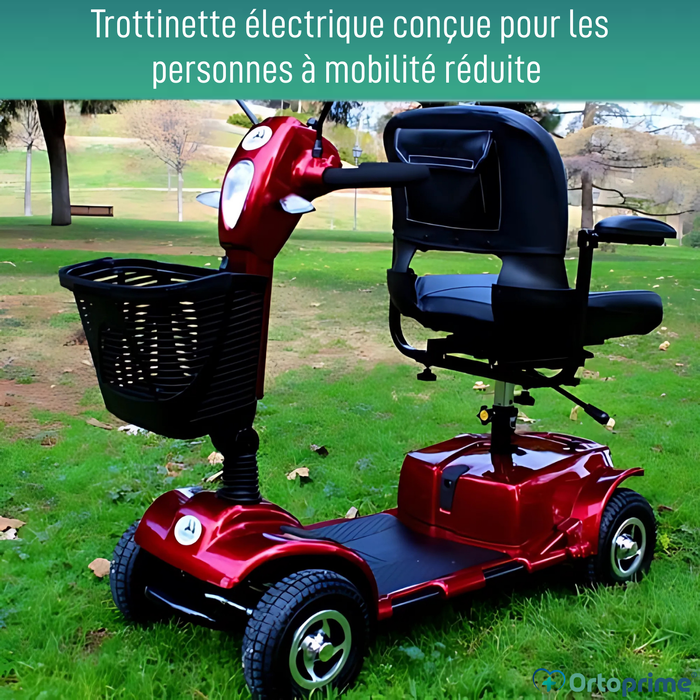 Scooter Électrique pour Handicapés | Double Amortissement