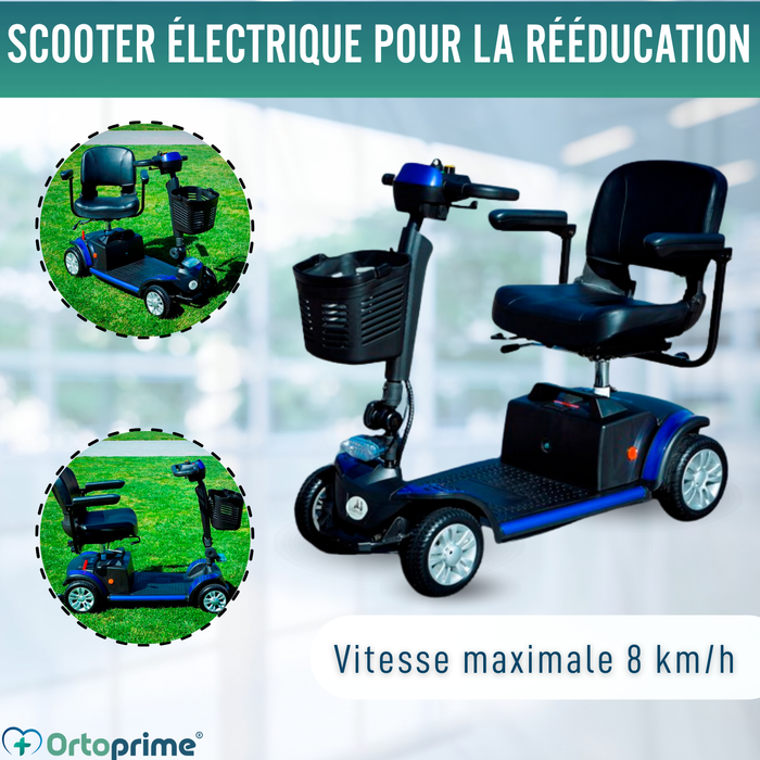 Scooter Électrique Compact et Pliable | 4 Roues