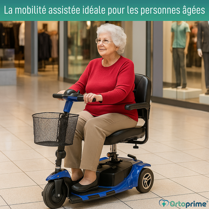 Scooter Électrique avec Système Stand Up | 3 Roues