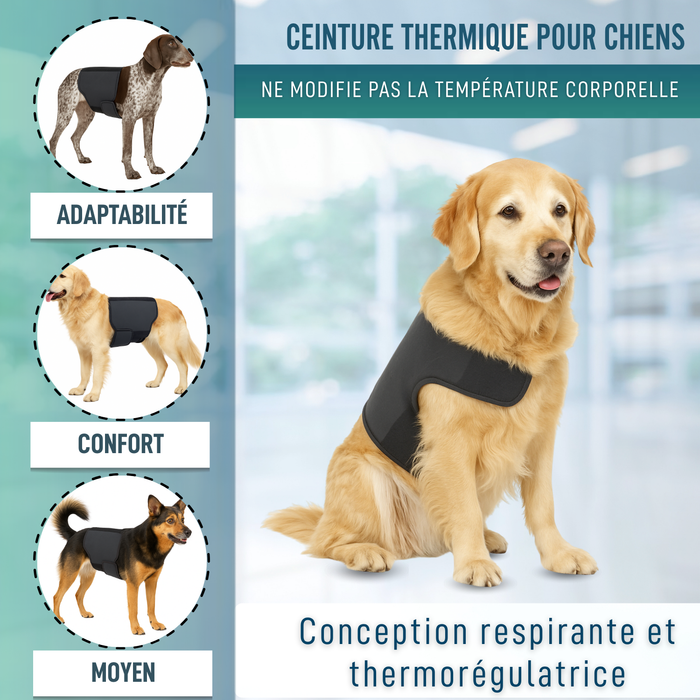 Ceinture Thermique Canine Back on Track | Support pour dos